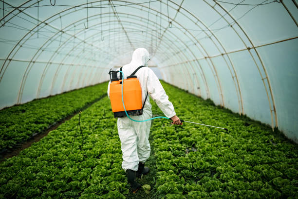 Best Pest Removal Services  in Cicero, IN