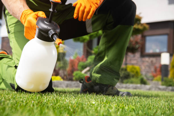 Best Flea Control Services  in Cicero, IN