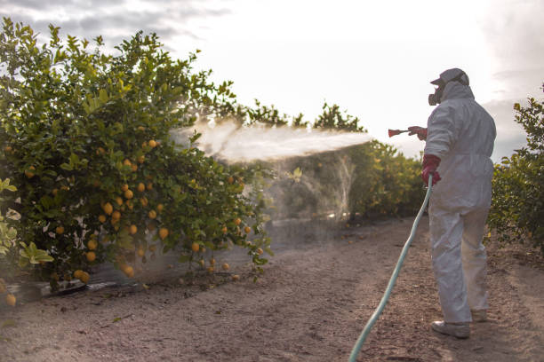Professional Pest Control in Cicero, IN