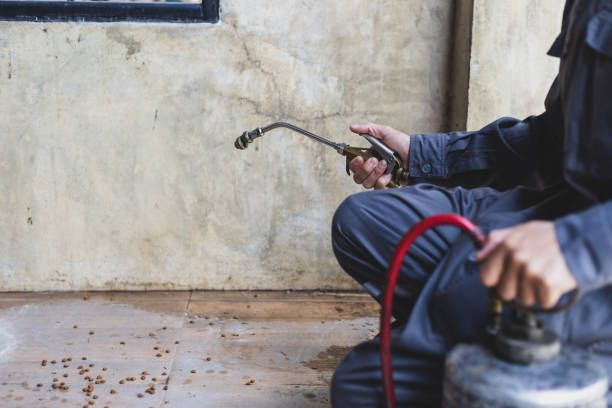 Best Termite Control Services  in Cicero, IN